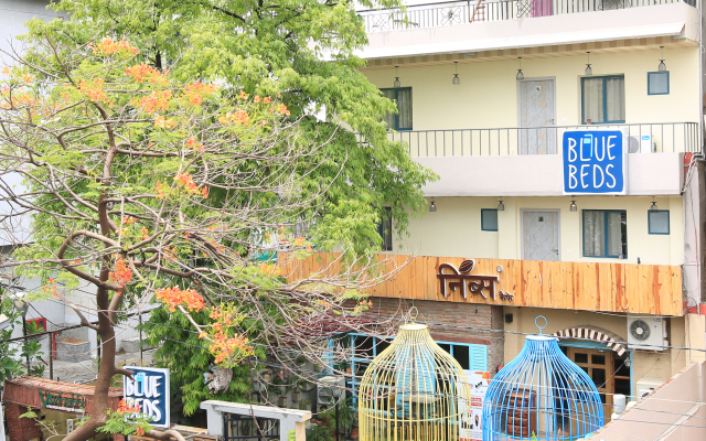 Blue Beds Hostel