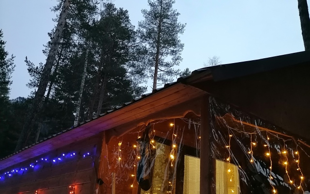 Шале Лес хрустальной песни