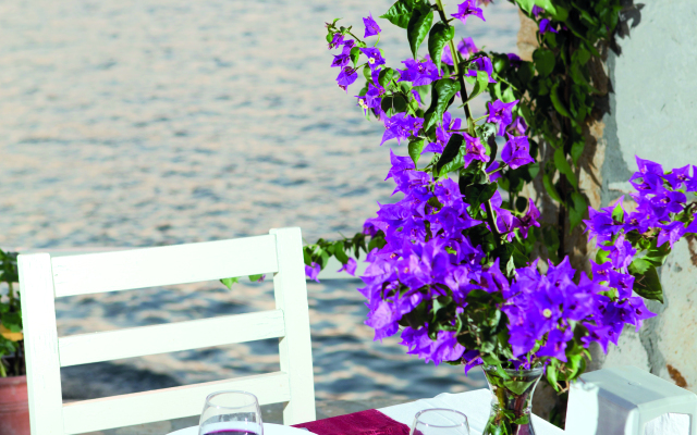 Club Mackarel Hotel