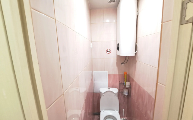 Dvukhkomnatnaya Pushkina 10 Flat