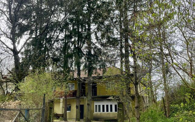 Апартаменты Лес и Шишки