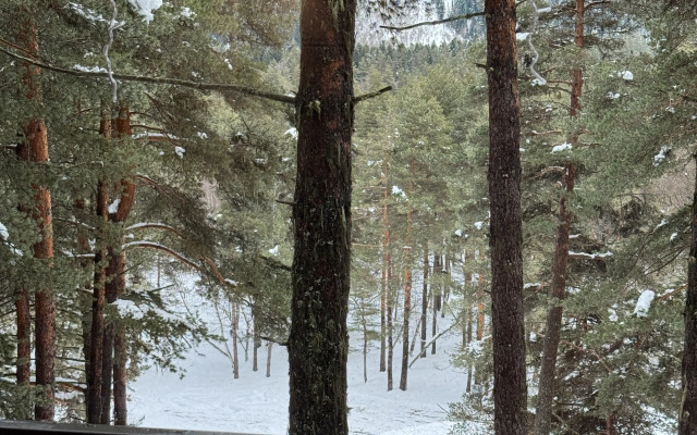 Частный дом 3 ПроЛес