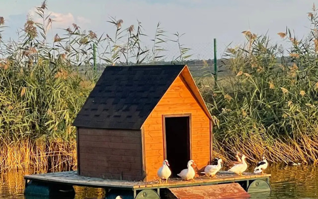 Ekopark Velikoknyazheskiy Ostrov Recreation camp