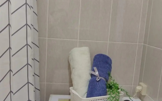 V Tsentre Goroda Flat