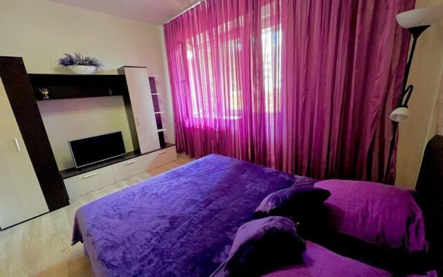 Na Ulitse Dmitriya Mikhaylova 2 - Lavanda Flat