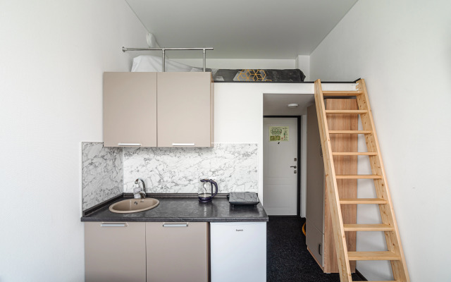 Apartments Nizhny Oranienbaum (301)