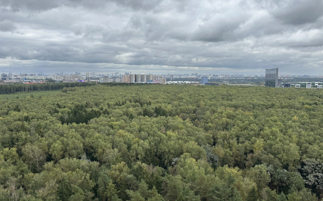 Апартаменты Простые с видом на лес