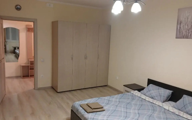 Aday v tsentre goroda Apartments