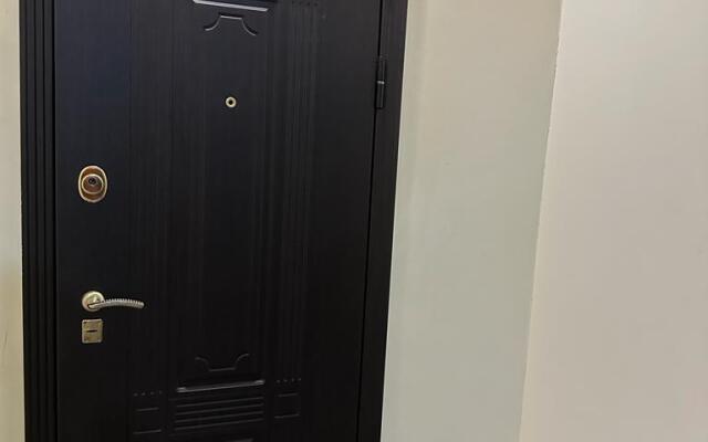 Апартаменты на улице Пушкина 43