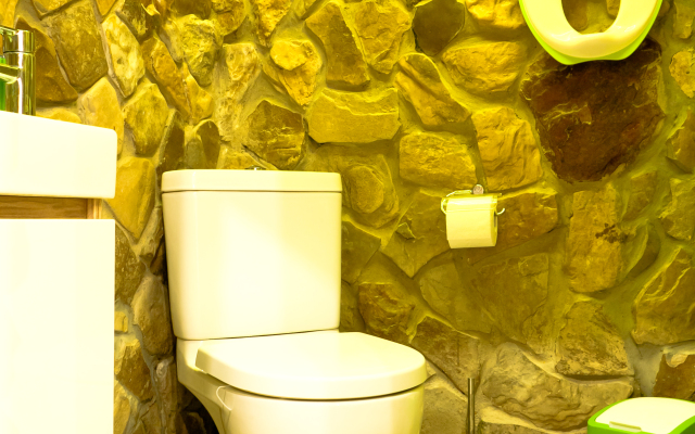 Lenivyij Delfin Guest house