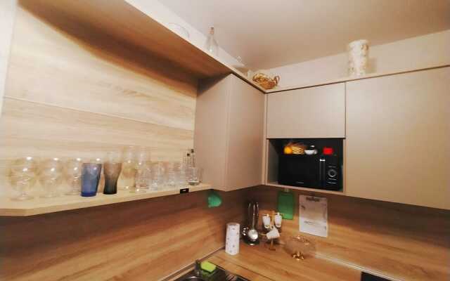 Maximus Na Savushkina Apartments