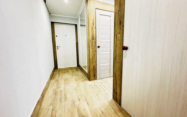 Апартаменты Hanaka Вострухина 4/1