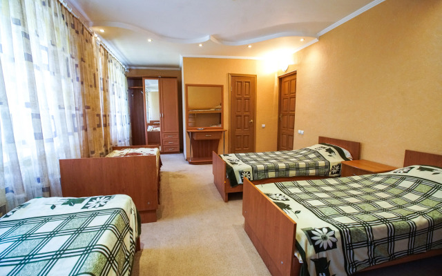 Borviha Mini-Hotel