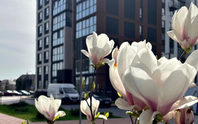 Kaliningrad Flat