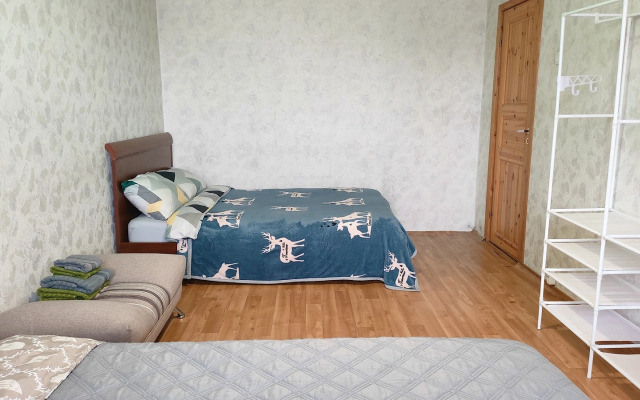 Uyutny Sever Na Prospekte Lenina 20 Apartments