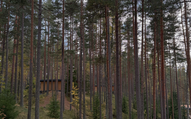 Отель Курорт Большое Борково