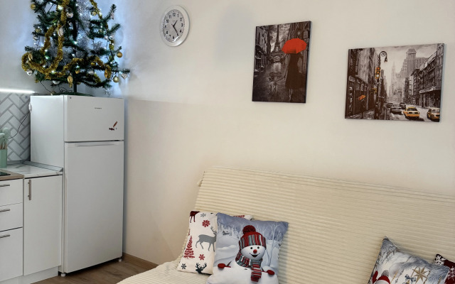 Квартира 1 комнатная квартира