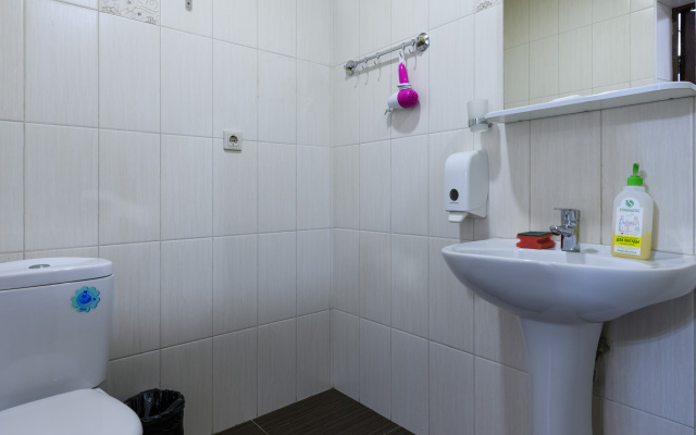 Oplot - S vidami na gory 6 Apartments