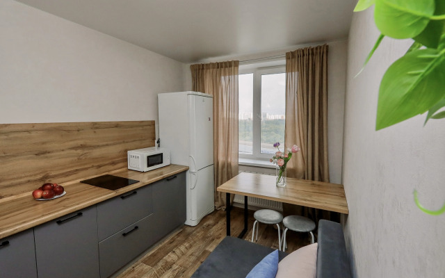 1 komnatnaya kvartira na prospekte Kalashnikova Apartments