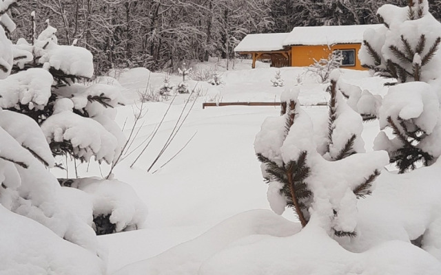 S Vykhodom V Les Guest House