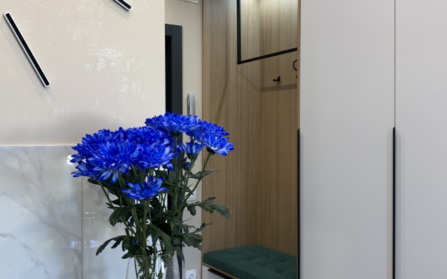 Karnaval na naberegnoy Apartaments