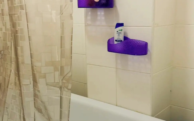 Ovb Tolmachevo Uyutnaya Studiya dlya Vzroslykh i Detey Apartments