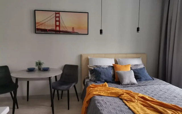 Апартаменты Северное сияние Новгородская 1 (1)