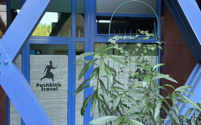 Pushkin Travel Apartments