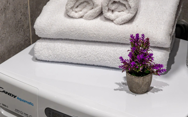 Апартаменты Plum на Васильевском острове Satin home