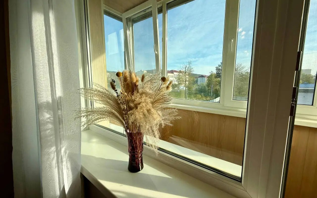 Квартира Однушка Пушкин в центре