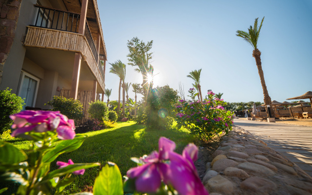 Отель Ananea Hurghada-Adults only