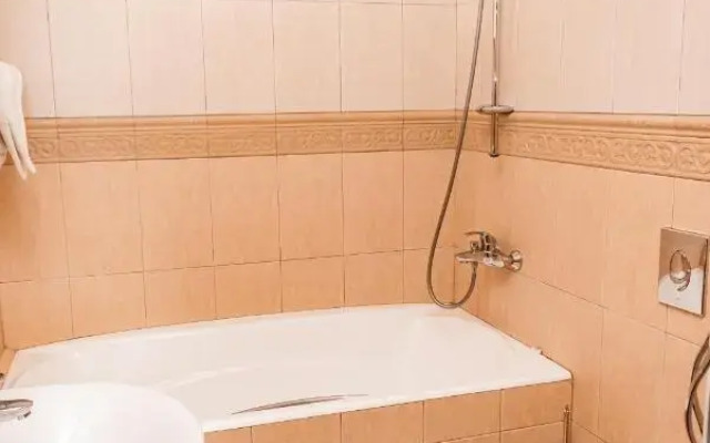 Отель Метелица