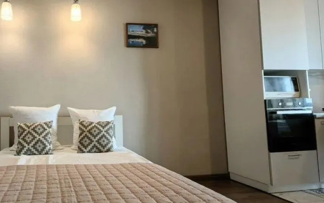 Uyutnaya V Tsentre Goroda Flat