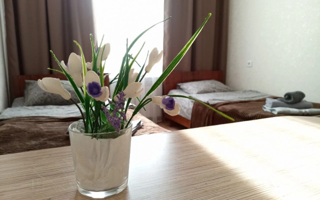 Квартира эконом двухместный Pogostim