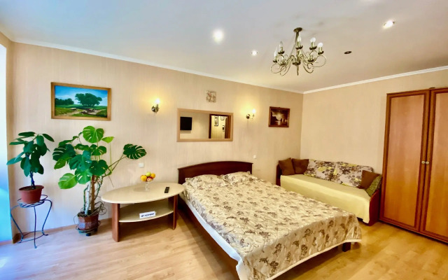 Апартаменты Чернышевского 199