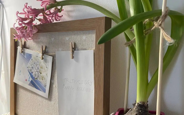 Квартира с видом на мост и реку Обь