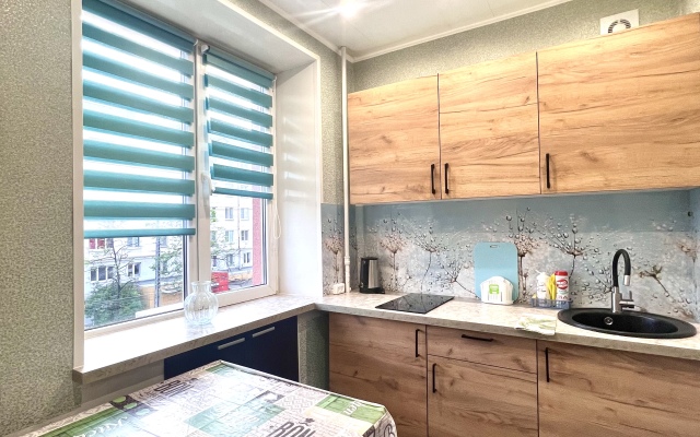 Onegograd-Vokzal Ll Flat