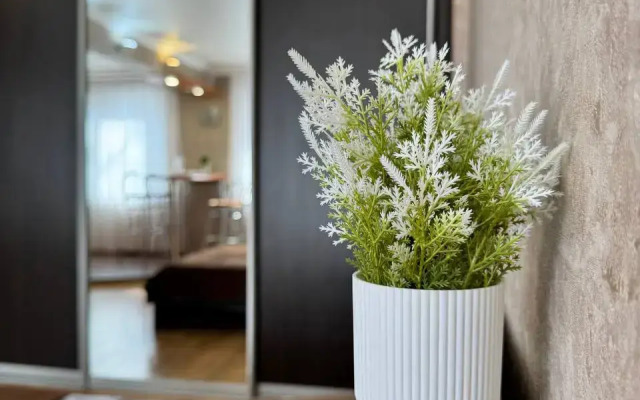 Апартаменты Bragin Hill