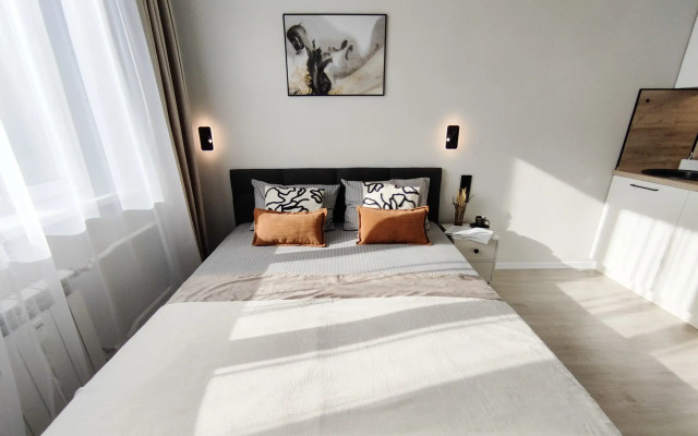 Апартаменты в "IQ Aparts"