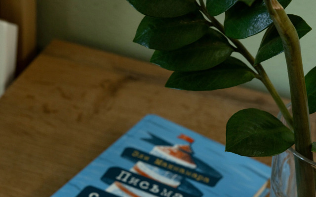 Квартира Лофт на Гептнера 17