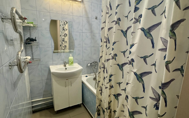 V Tsentre Goroda Flat