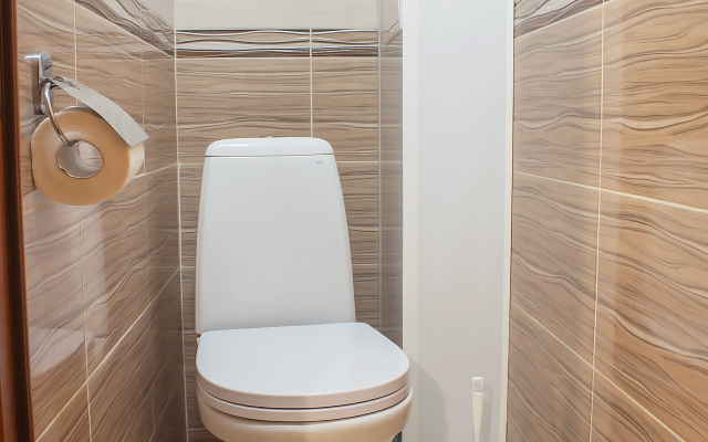 Dvukhkomnatnaya Ryadom S Almazova Flat