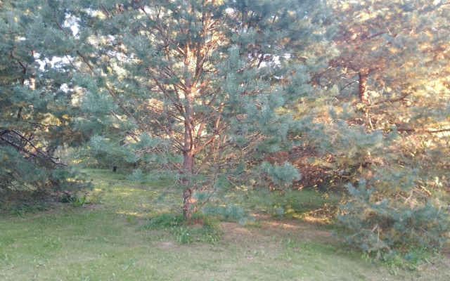 Частный дом Хитрый Лис