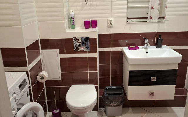 Квартира однокомнатная на Проспекте Советском 81/1