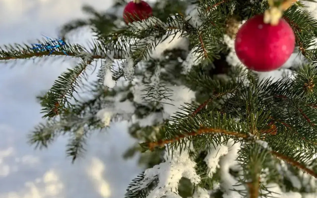 Частный дом Кама