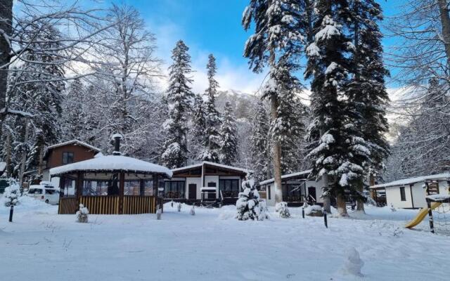 Dacha Apartments