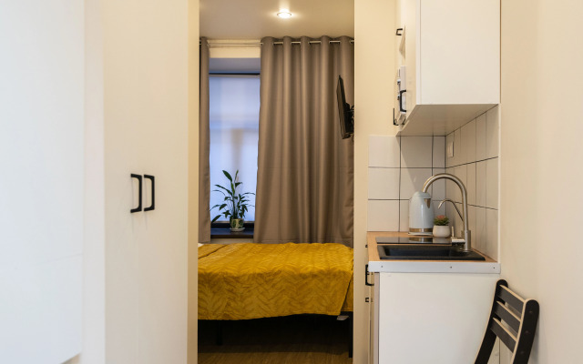 Апартаменты Уютная студия на Большой Зеленина