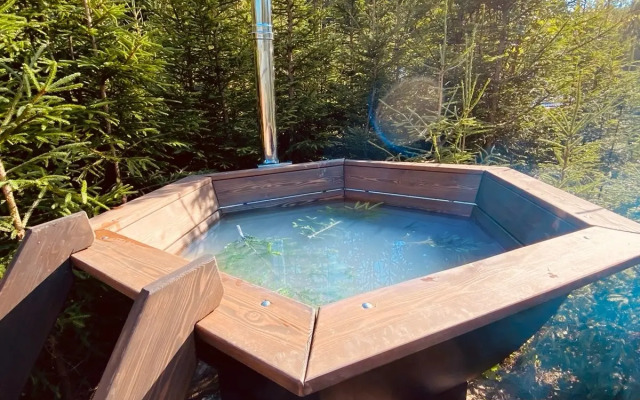 Частный дом Деревня Йети