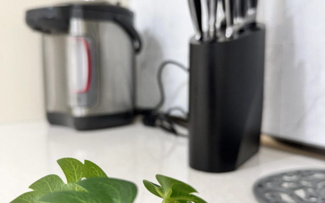 Квартира Двухкомнатный Люкс у Парка в Центре