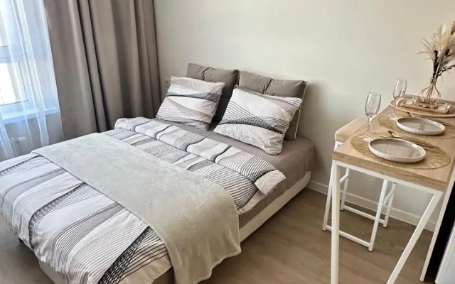 Апартаменты Шикарная студия у Жд Вокзала и ЛеманаПРО